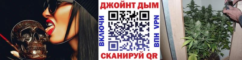 купить цена гидра онион Шишки марихуана план Александров